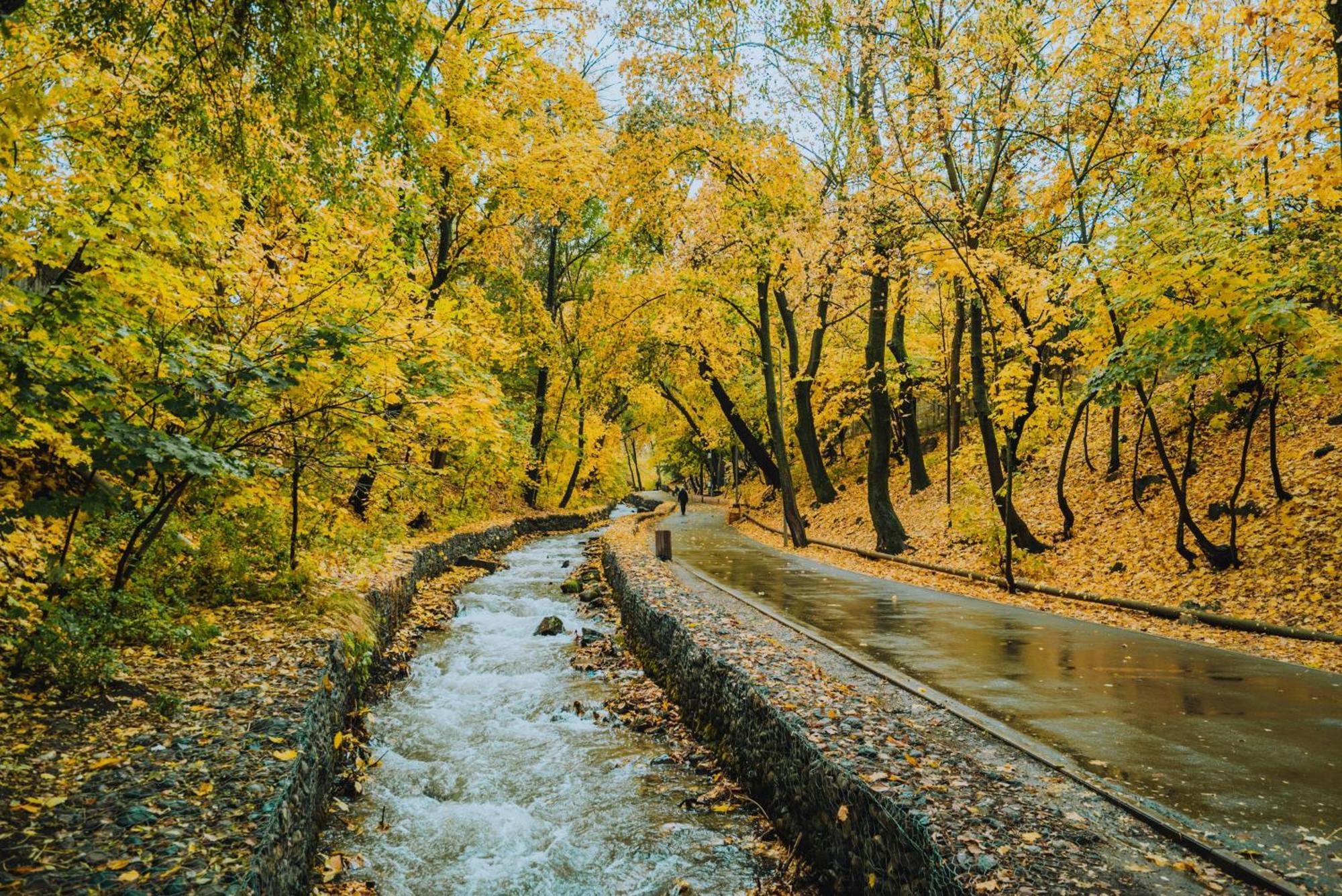Nadezhda Apartments In Touristic Area, On The Dostyk Avenue 89 Almaty Eksteriør billede